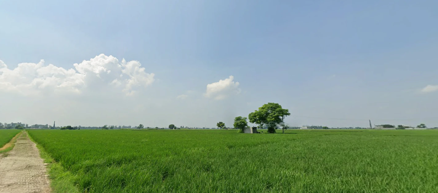 Nurpur Bedi, Punjab 140117, India