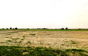 Pataudi, Haryana 122503, India preview 3