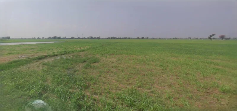 Barnagar, Madhya Pradesh 456771, India preview 2