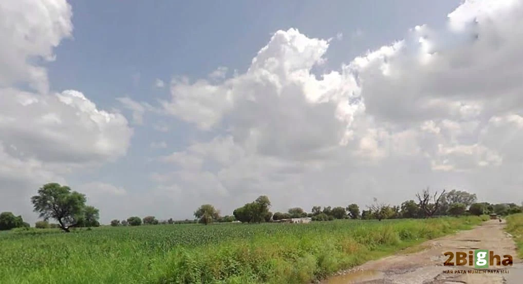 RV3M+9H6, Karolan Ka Barh, Jaipur, Rajasthan 302017, India