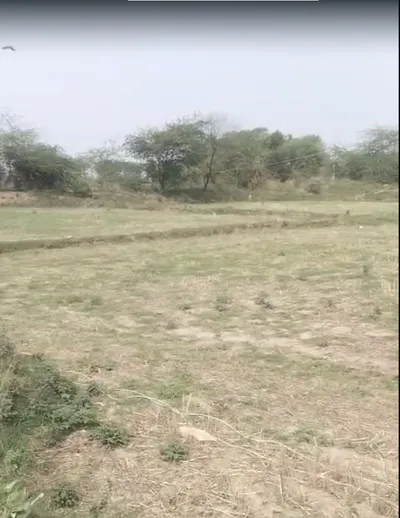 W2G6+8R Dubahi, Gwalior, Madhya Pradesh, India preview 3