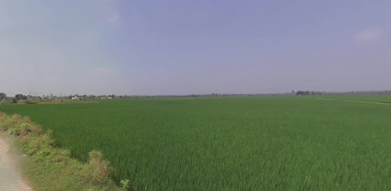 Chatkali, Uttar Pradesh, India