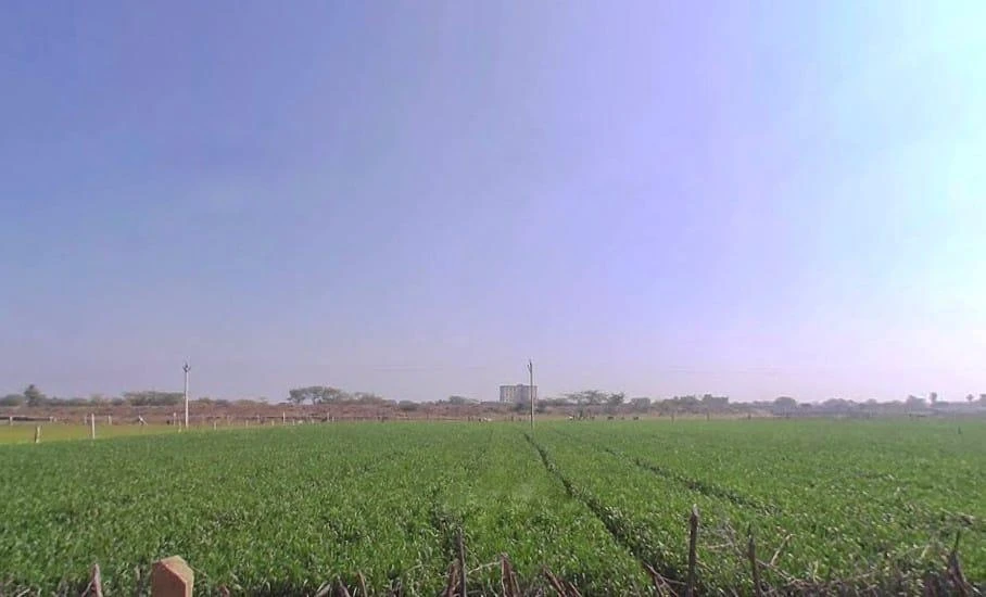 Chaksu, Rajasthan 303901, India