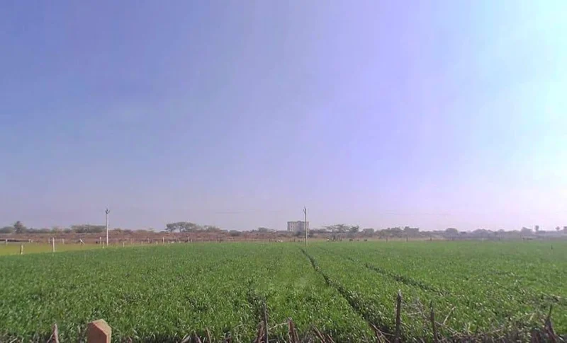 Chaksu, Rajasthan 303901, India preview 3