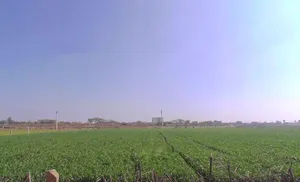 Chaksu, Rajasthan 303901, India preview 3