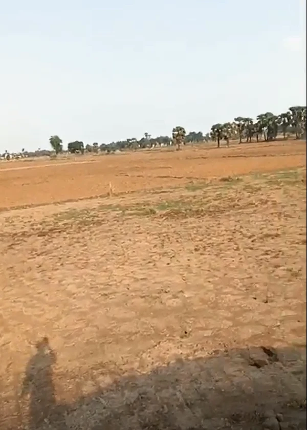 Khamtarai, Raipur, Chhattisgarh, India