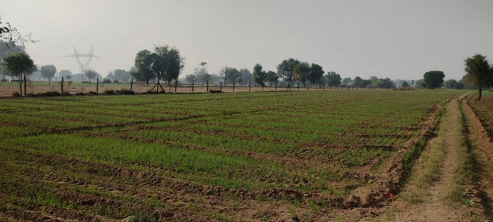 Morni Hills, Panchkula, Haryana, India