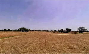 MCQV+2C, Hajipur, Rajasthan 301402, India preview 2