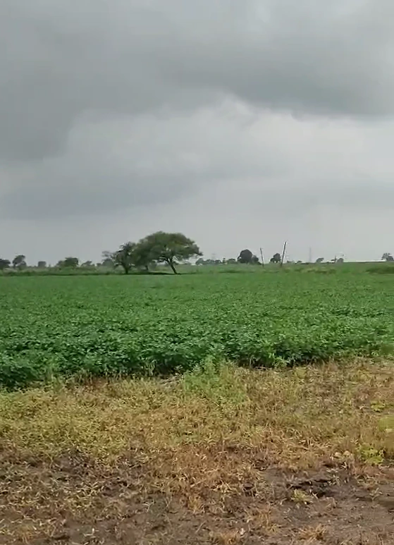 75JC+F6V, Ratlam, Jalod, Madhya Pradesh 454001, India