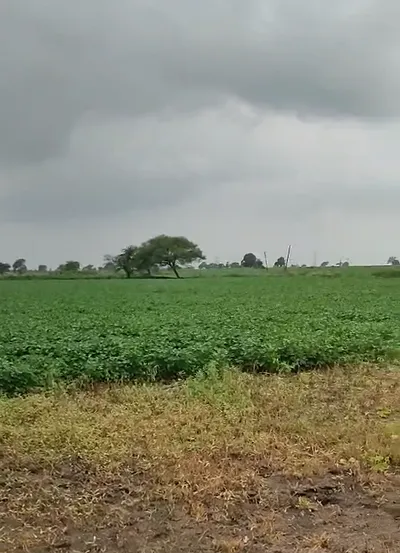 75JC+F6V, Ratlam, Jalod, Madhya Pradesh 454001, India preview 2
