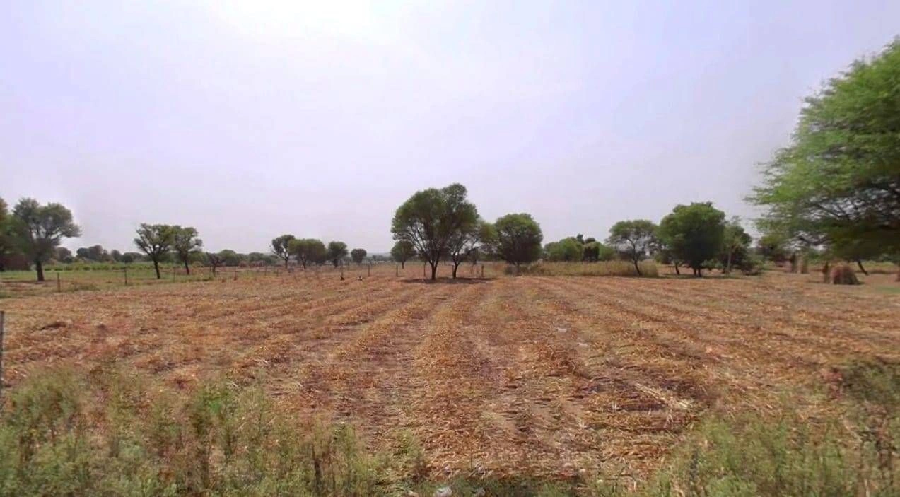 Mala Khera, Rajasthan 301406, India