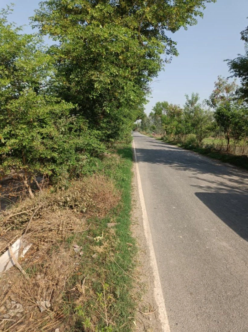 Gauhari, Uttar Pradesh 281401, India