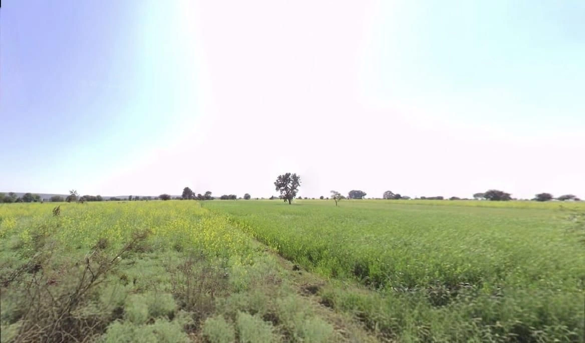 Bilgaon, Madhya Pradesh 481990, India