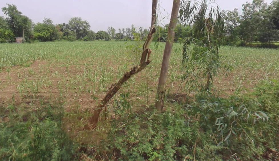 Hastinapur, Uttar Pradesh 250404, India