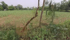 Hastinapur, Uttar Pradesh 250404, India preview 3