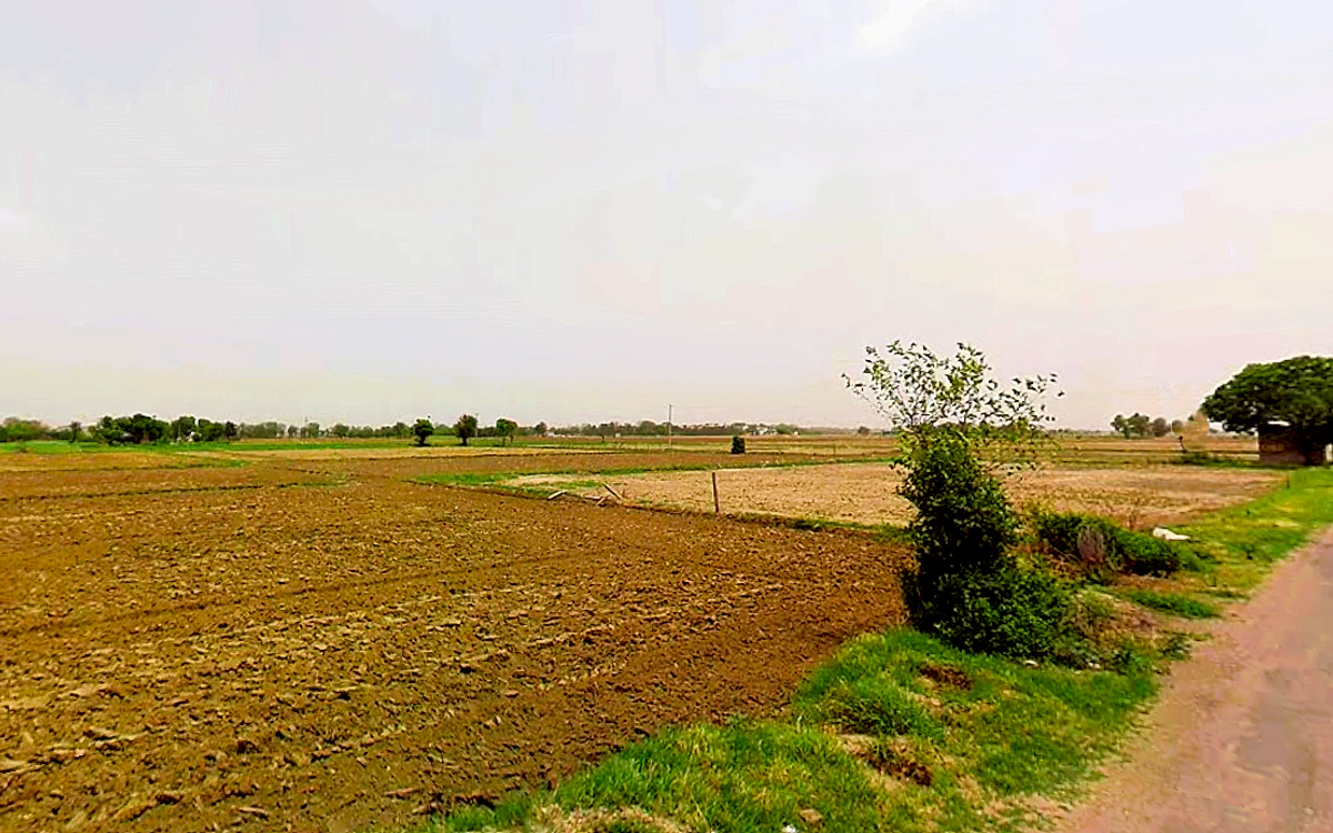 Pataudi, Haryana 122503, India