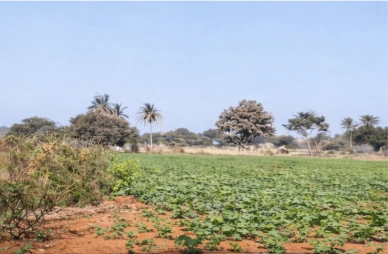 7JR9+7F Doddagollahalli, Karnataka, India preview 2