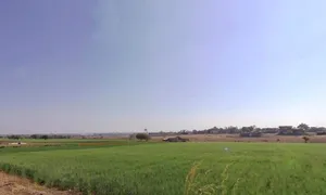 Dr. Ambedkar Nagar, Madhya Pradesh 453441, India preview 2