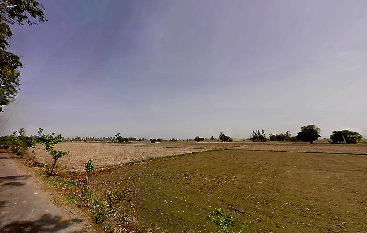 Bapauli, Haryana 132104, India