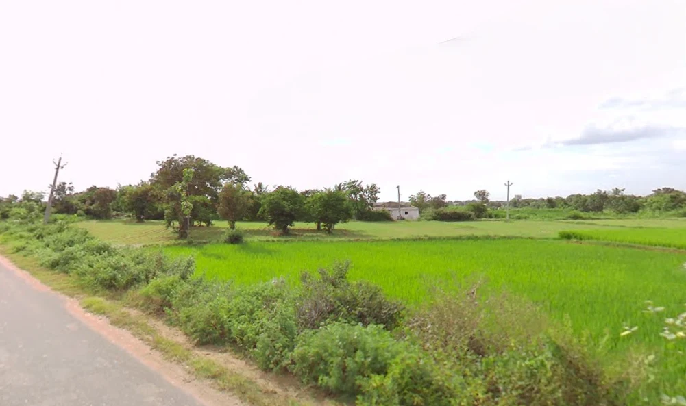 Kadthal, Telangana 509358, India