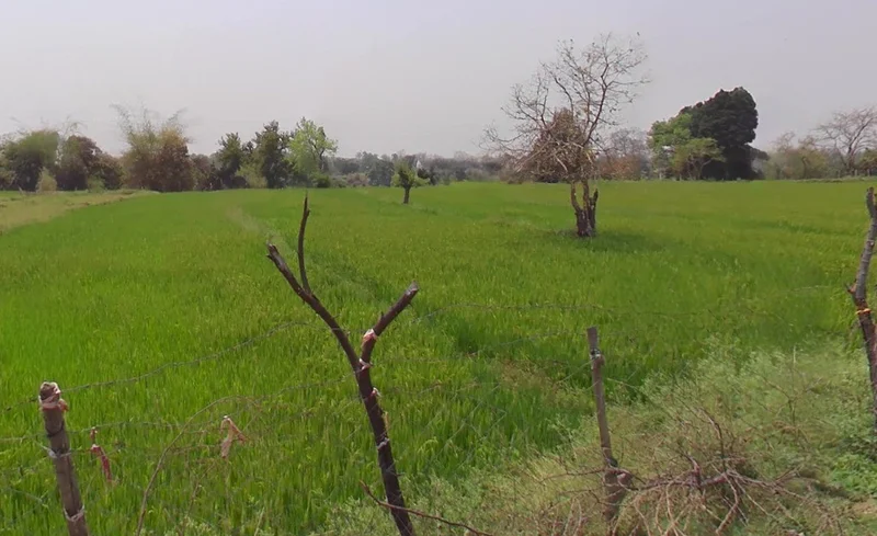 Deori, Chhattisgarh 493114, India preview 2