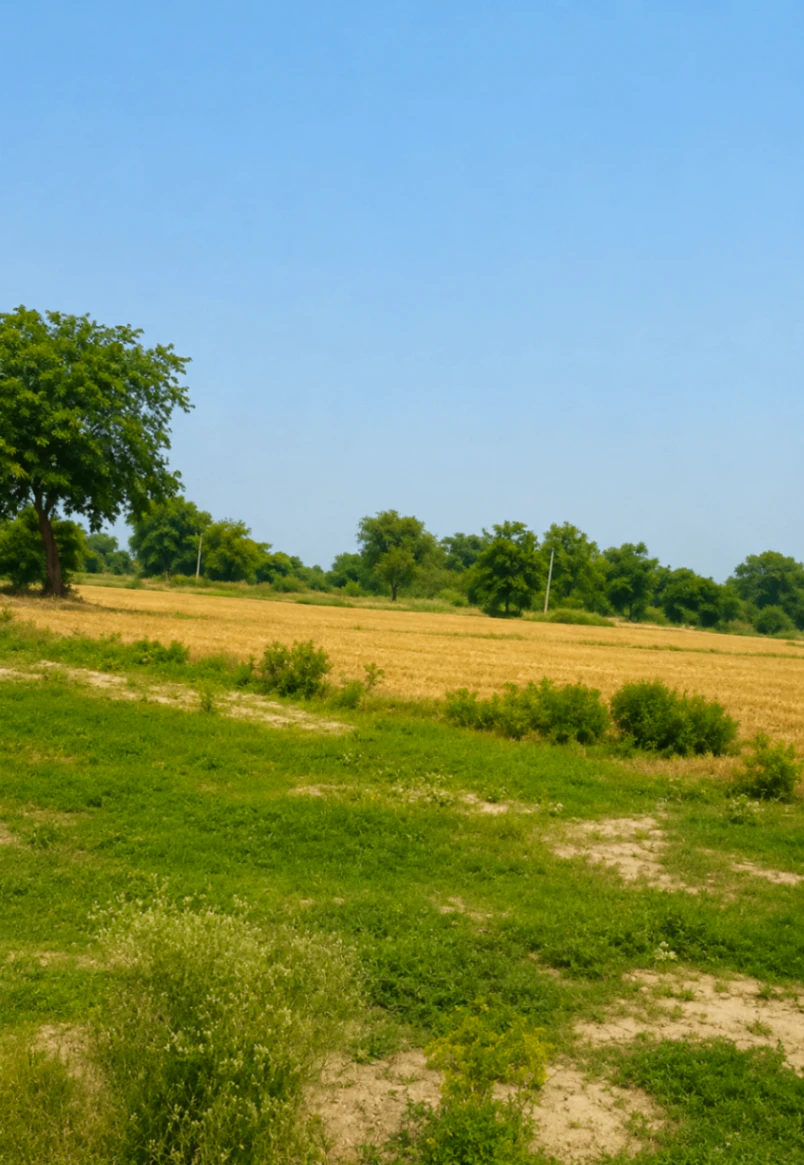 Vrindavan, Mathura, Uttar Pradesh, India