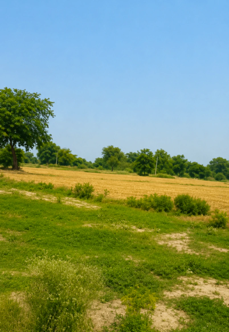 Vrindavan, Mathura, Uttar Pradesh, India
