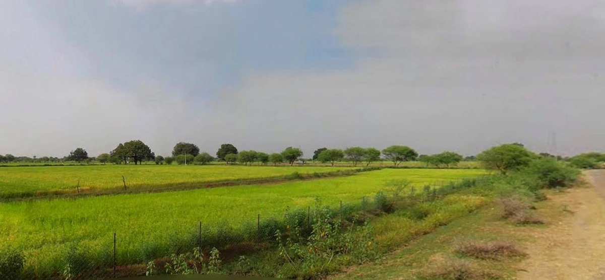Farukh Nagar, Haryana 122506, India