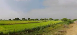 Farukh Nagar, Haryana 122506, India preview 2