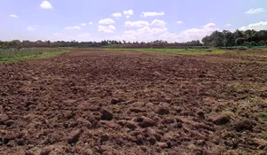 Doddamaluru, Karnataka 572127, India preview 3