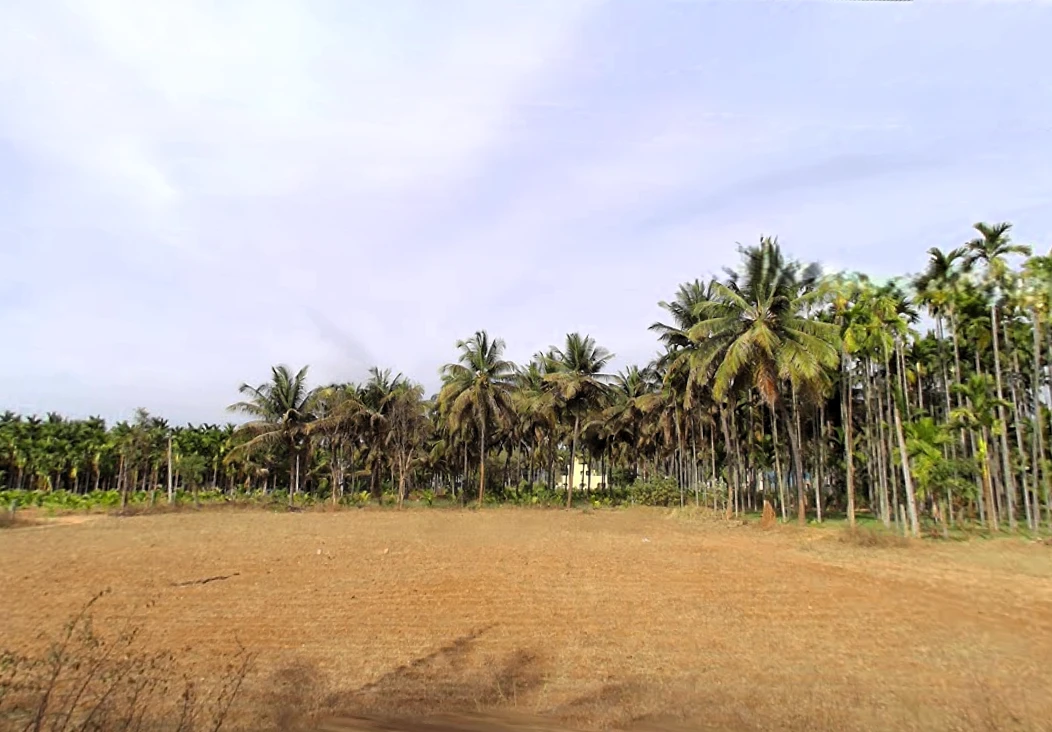 Bellavi, Karnataka 572107, India