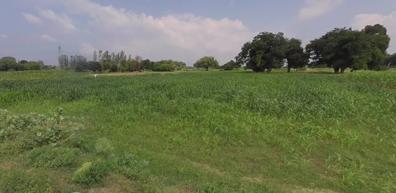 Nipaniya Jat, Madhya Pradesh, India preview 2