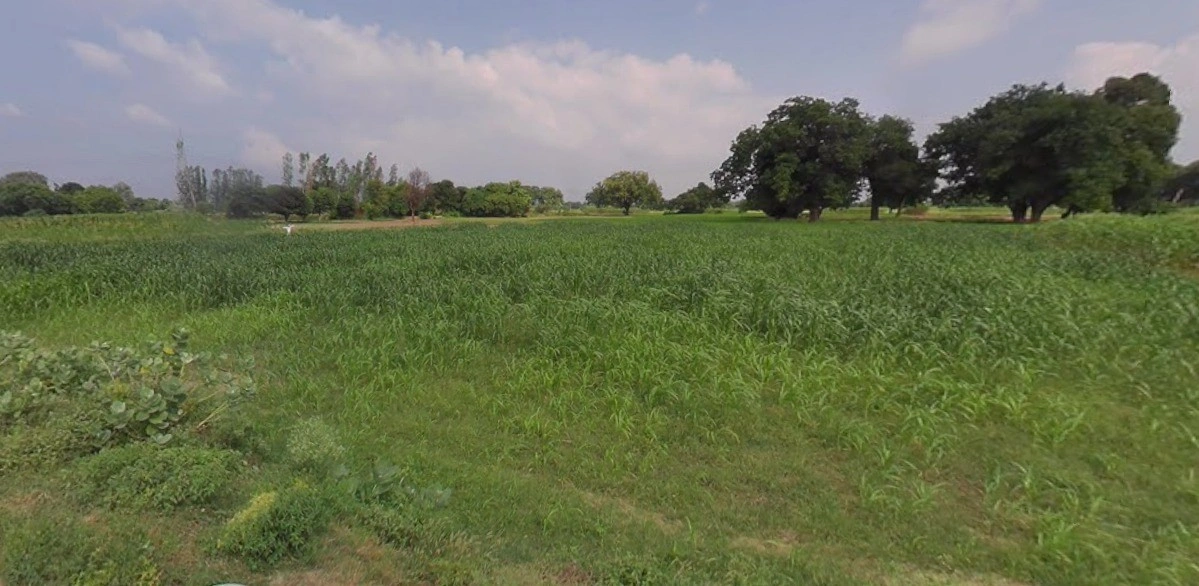 Nipaniya Jat, Madhya Pradesh, India