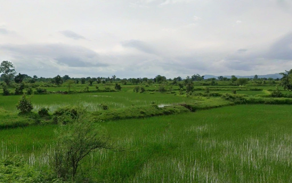 Khamariya, Chhattisgarh 490020, India