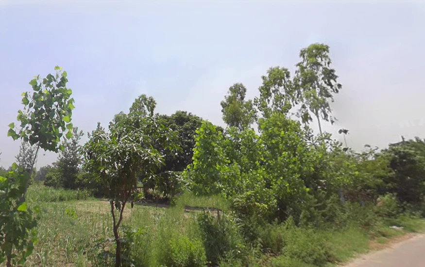 Chandner, Uttar Pradesh, India