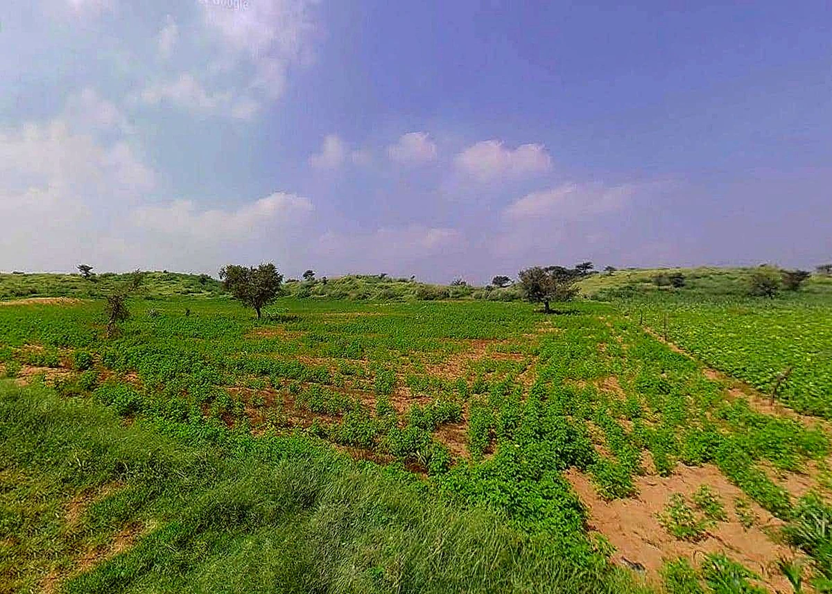 Daspalla, Odisha, India