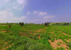 Daspalla, Odisha, India preview 3