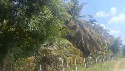 Hiriyur, Karnataka, India preview 3