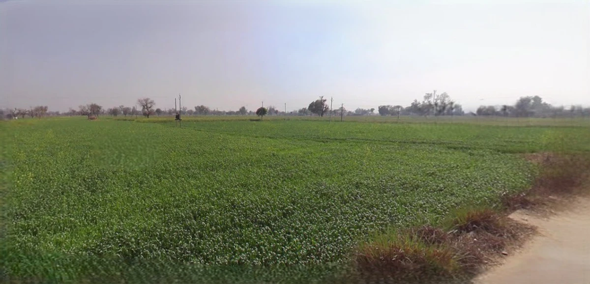 Ratlam, Madhya Pradesh 457001, India