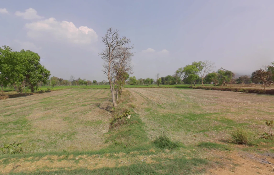 Bohardih, Chhattisgarh, India