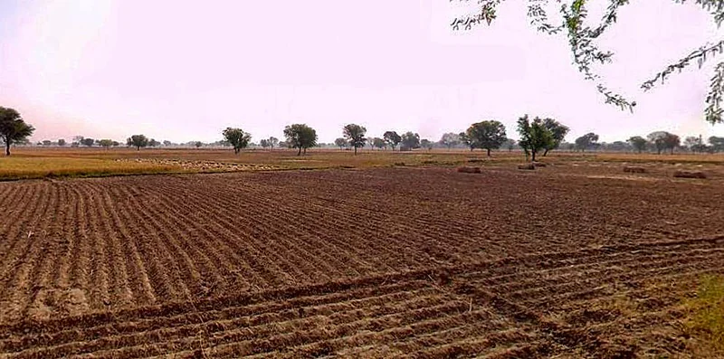 Chandla, Madhya Pradesh 471525, India preview 2