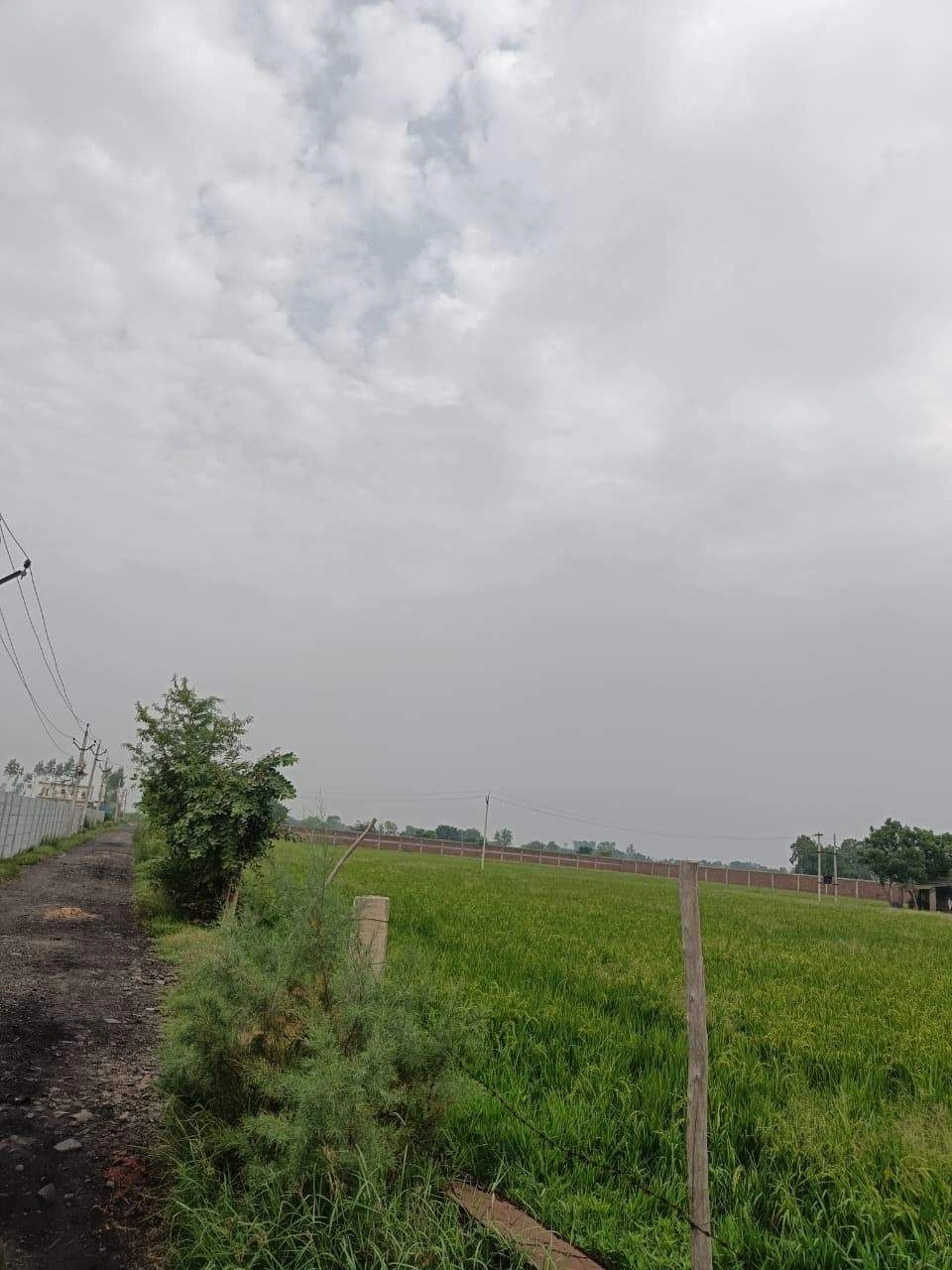 Adampur, Uttar Pradesh, India