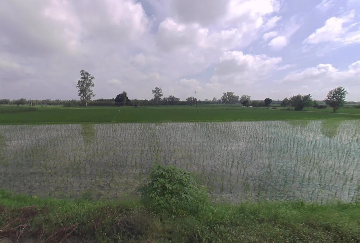 Saharanpur Rd, Old Hamida, Yamuna Nagar, Haryana 135001, India