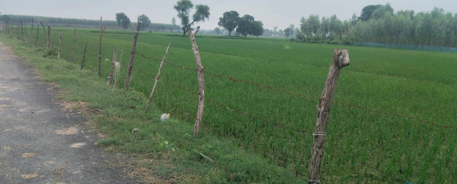 V53V+4P Kalyanpur, Gonda, Uttar Pradesh, India