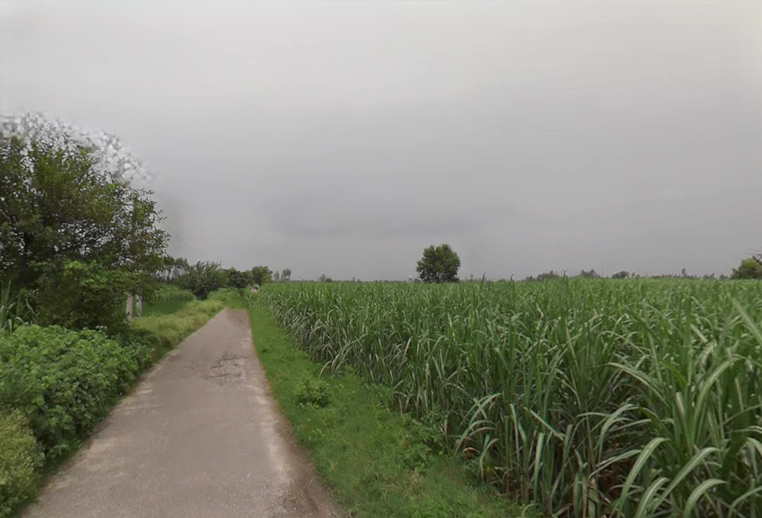 Sirsi, Uttar Pradesh 244301, India