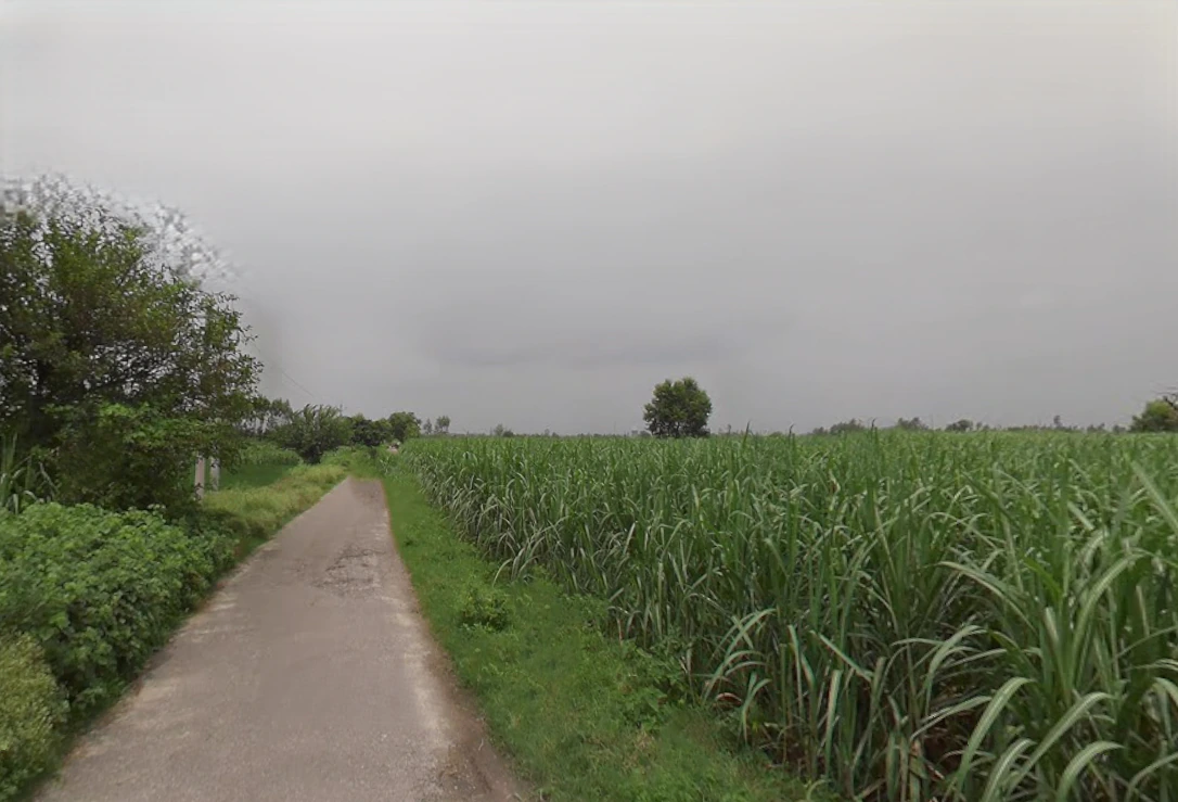 Sirsi, Uttar Pradesh 244301, India