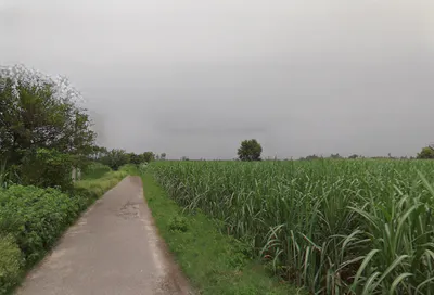 Sirsi, Uttar Pradesh 244301, India preview 2
