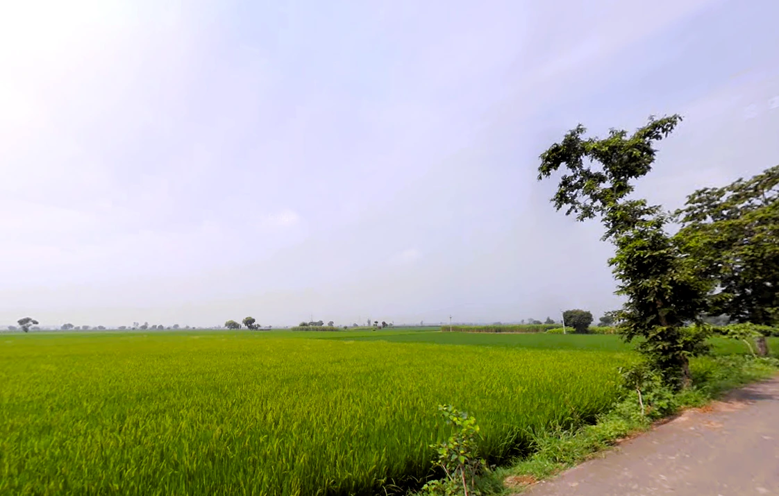 Rajana, Haryana, India
