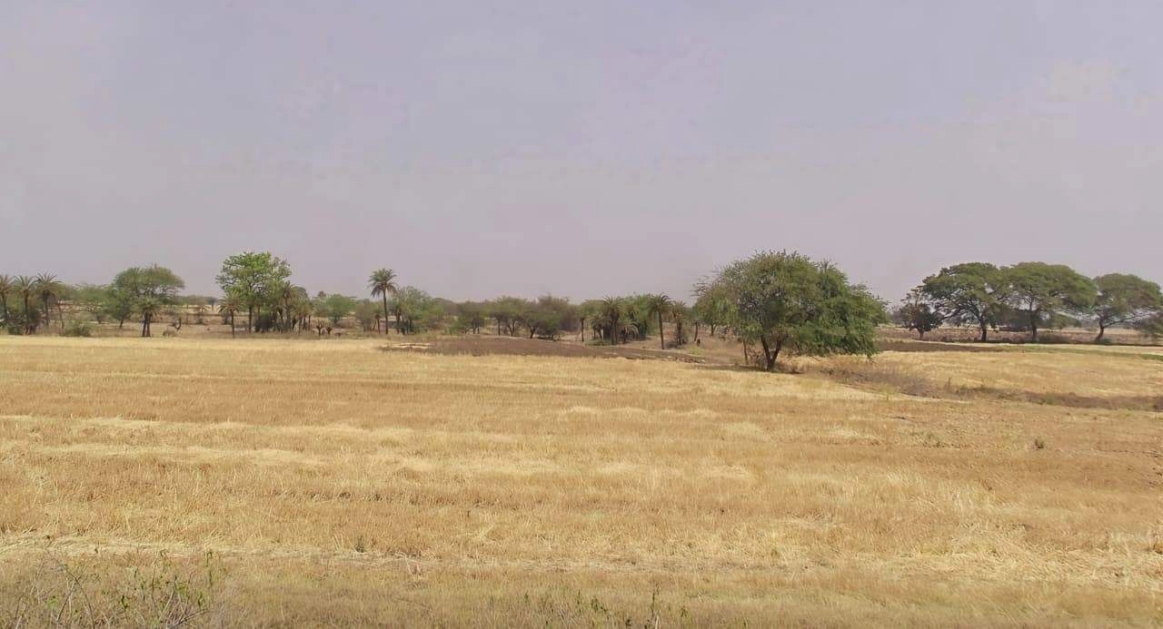 Neemkheda, Madhya Pradesh 455227, India