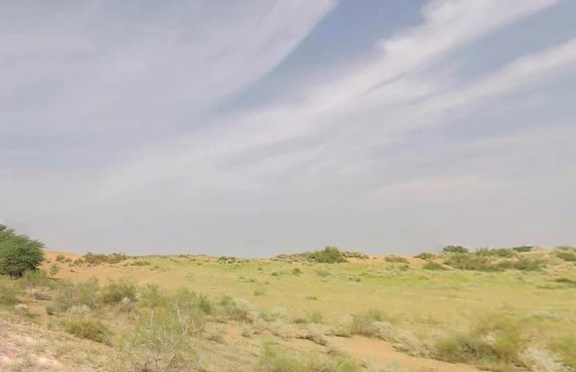 Rawla Mandi, Rajasthan 335708, India